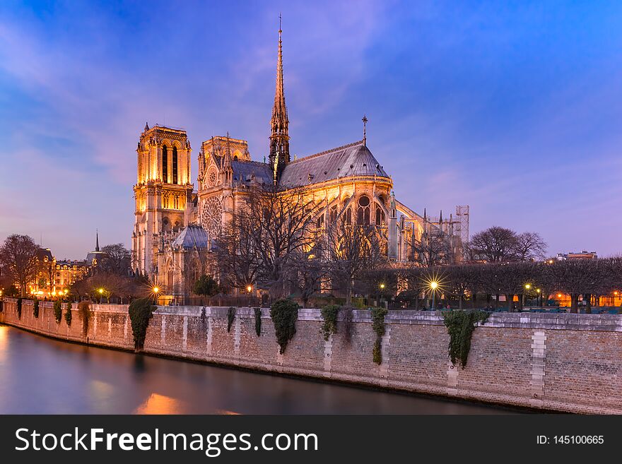 Cathedral of Notre Dame de Paris at night, France