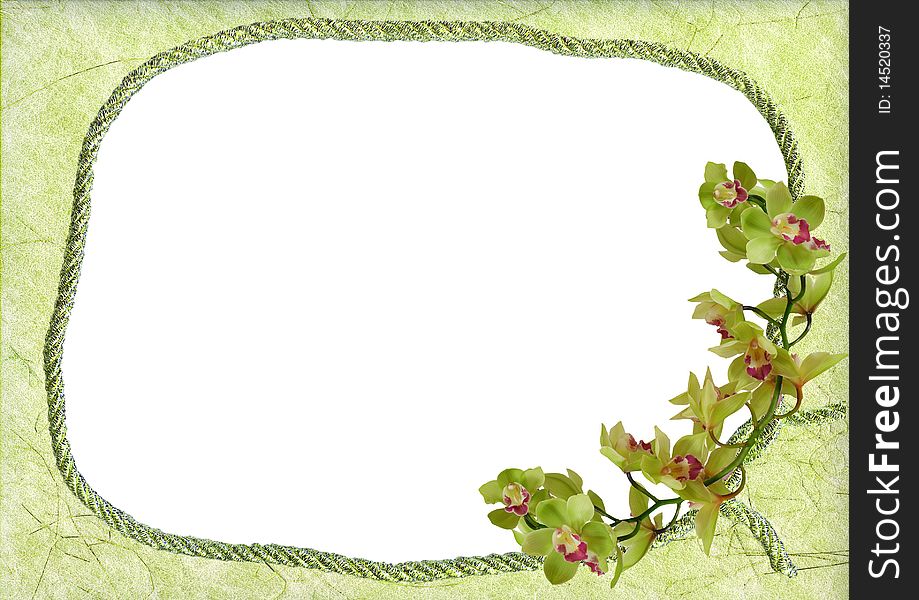 Decorative frame with green orchid - background for your text or picture