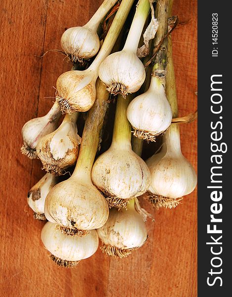 Freshly harvested garlic bulbs on cutting board. Freshly harvested garlic bulbs on cutting board