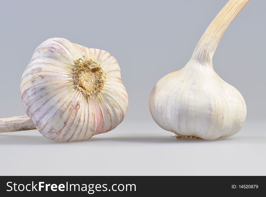 Closeup shot of garlic on a white background.