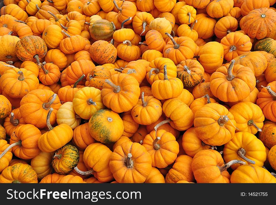 Pumpkin Background