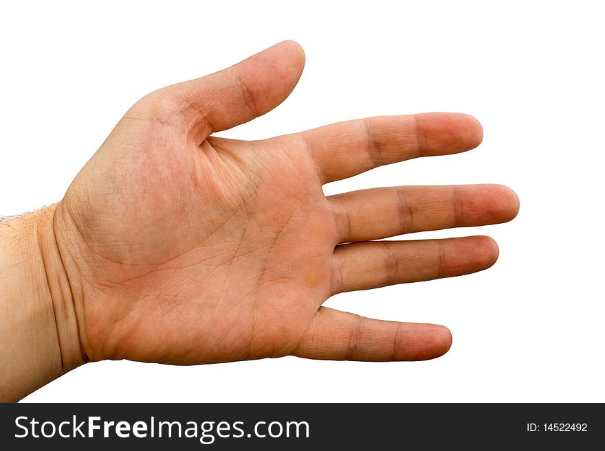 Hand on a white background