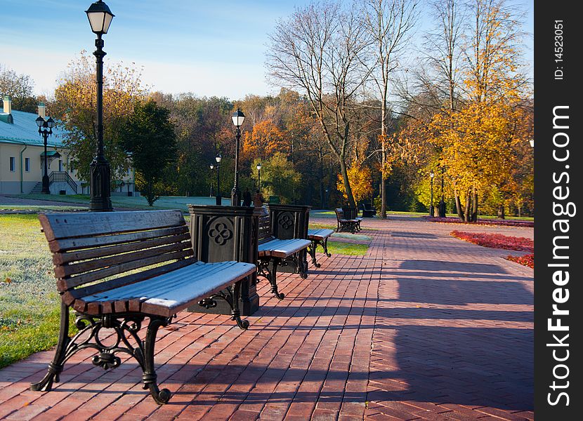 Several benches in Green Park