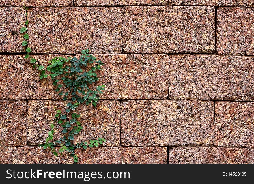 Brick red background with beautiful trees