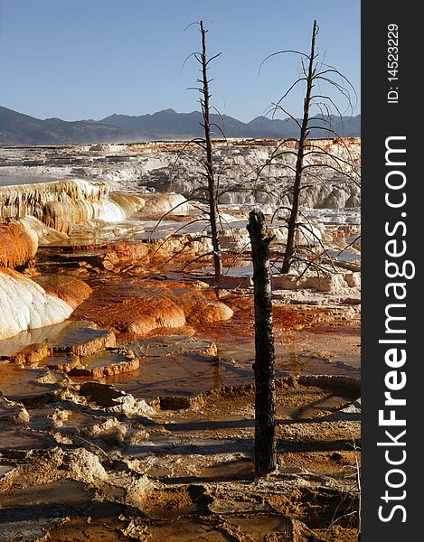 Mammoth Springs in Yellowstone National Park in Wyoming