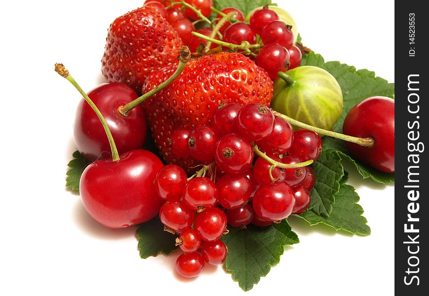 The gooseberry is very tasty and useful berry. The gooseberry is very tasty and useful berry