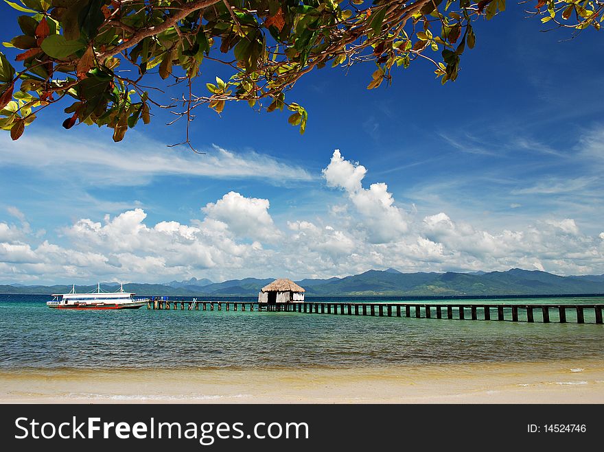 Tropical Beach Dock on a Windy Day