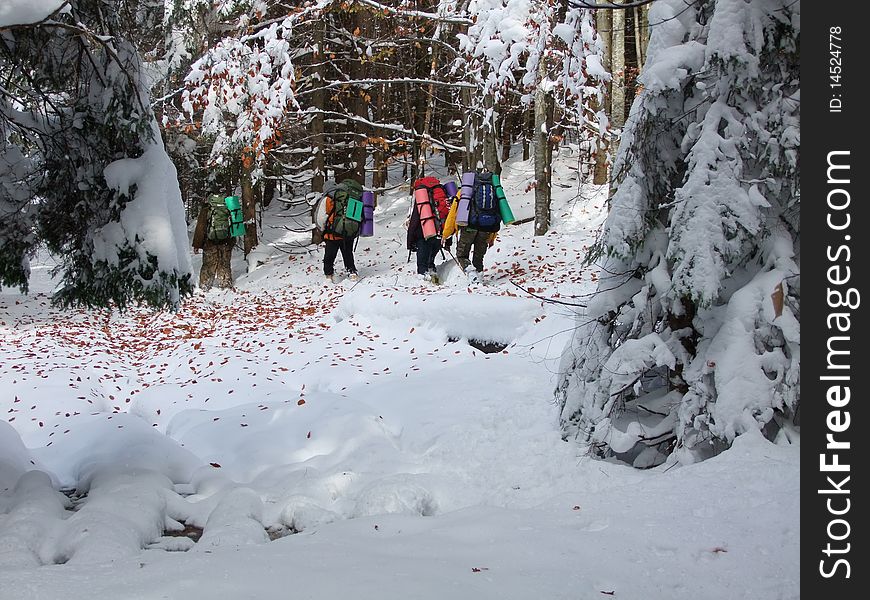 Tourists in winter wood in a landscape with snow and leaves