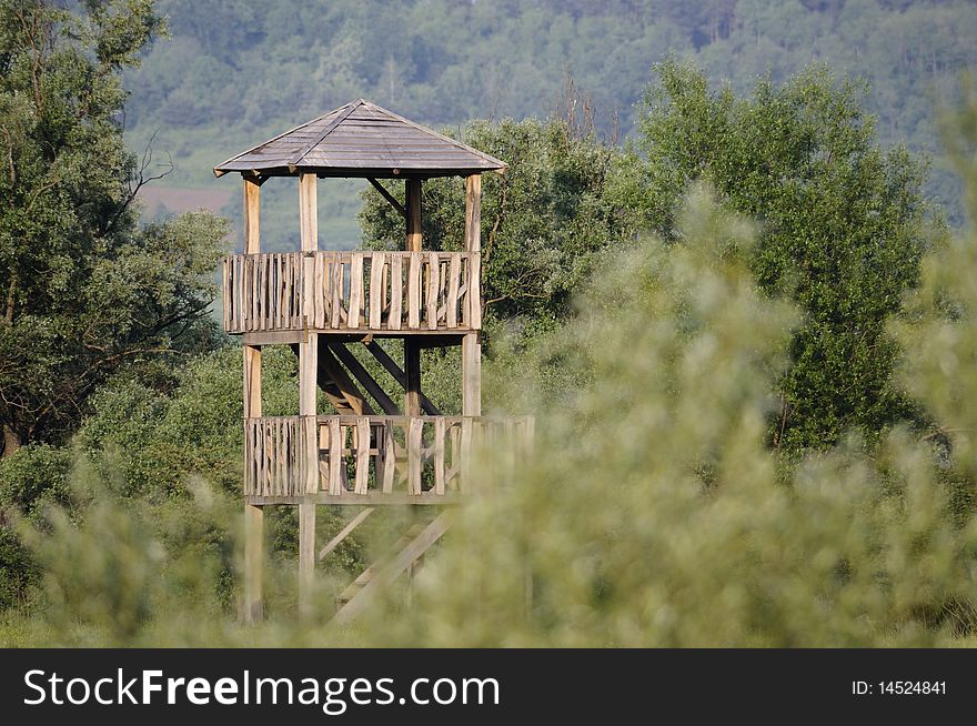 Wooden watchtower surrounded by woods