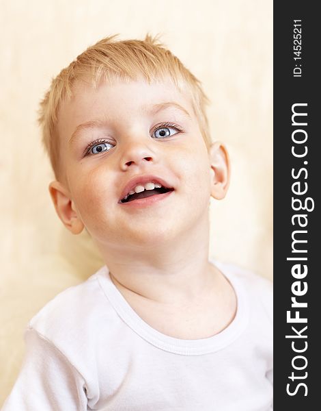 Closeup portrait of happy little boy indoor