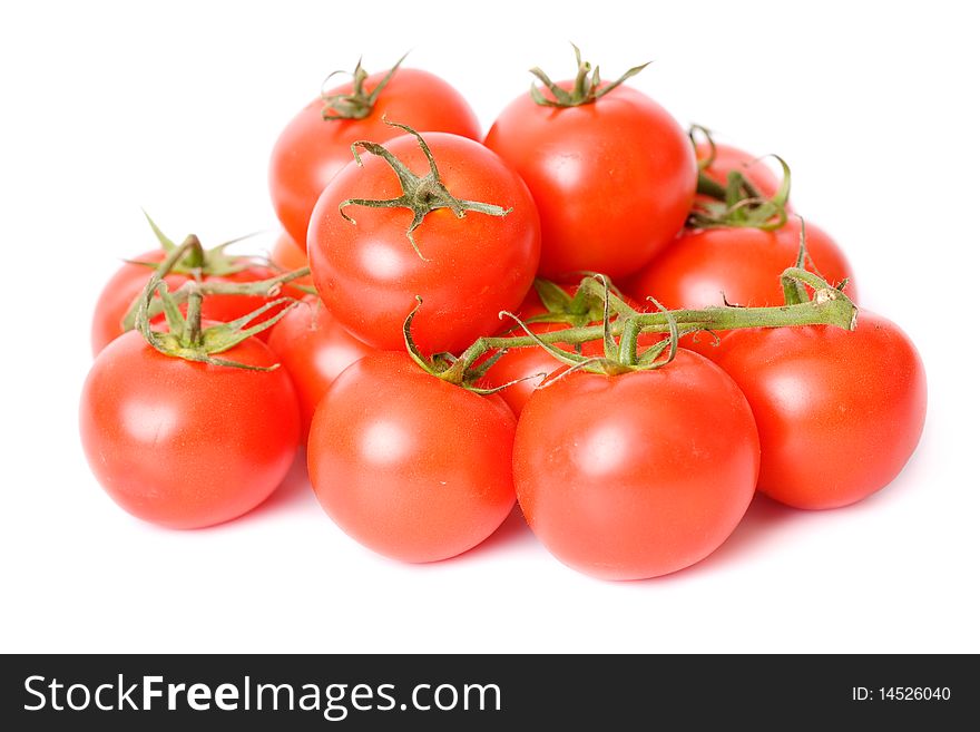 Fresh tomatoes over white