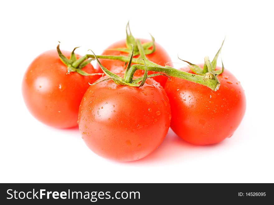 Fresh Tomatoes Over White