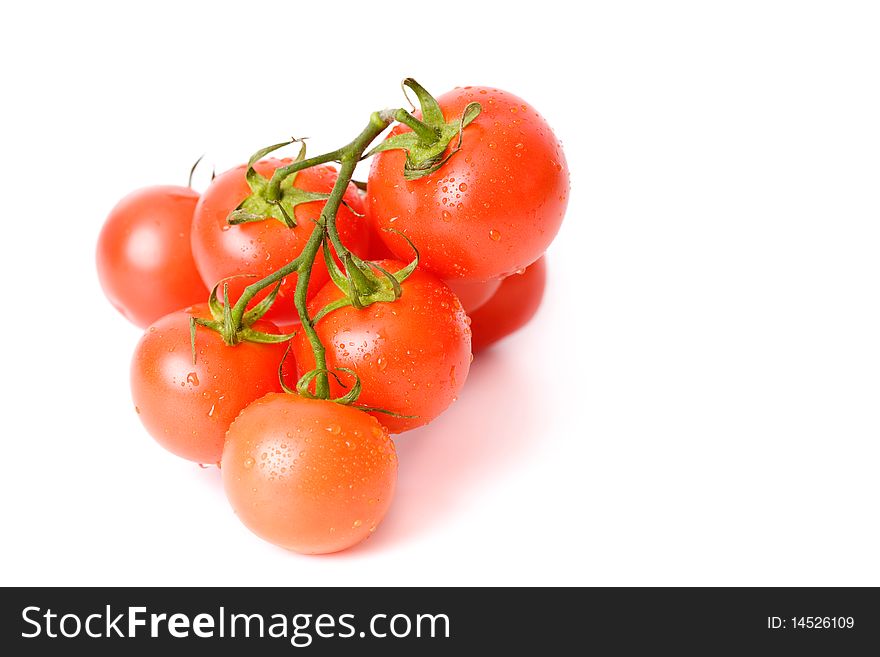 Fresh tomatoes over white