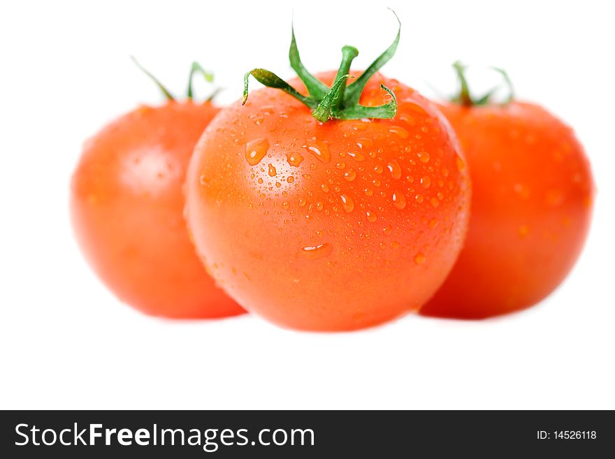 Fresh tomatoes over white