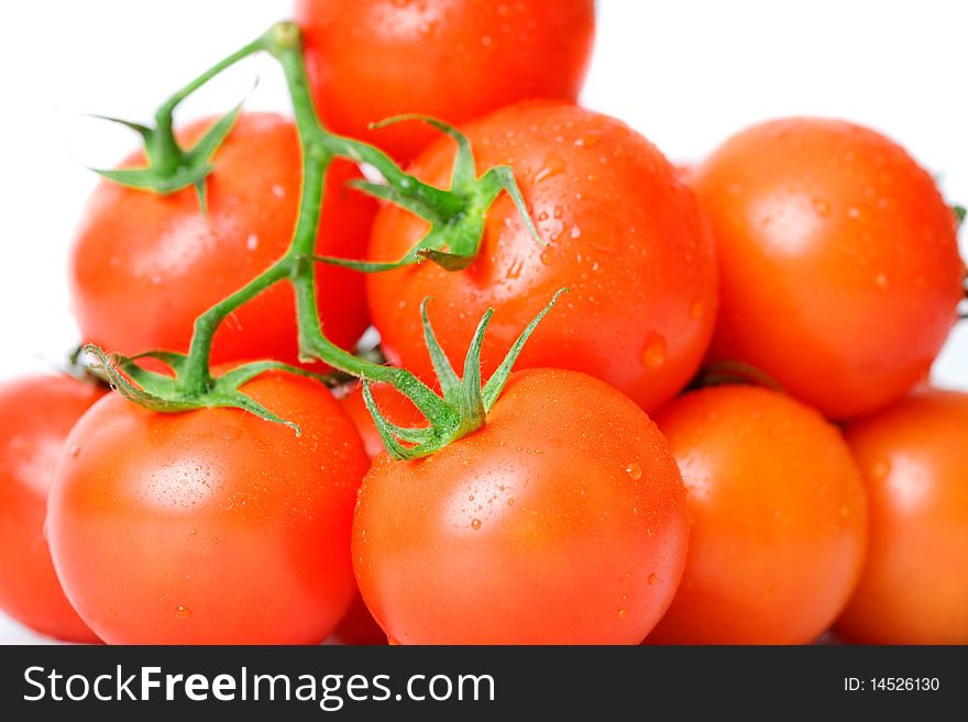 Fresh tomatoes over white