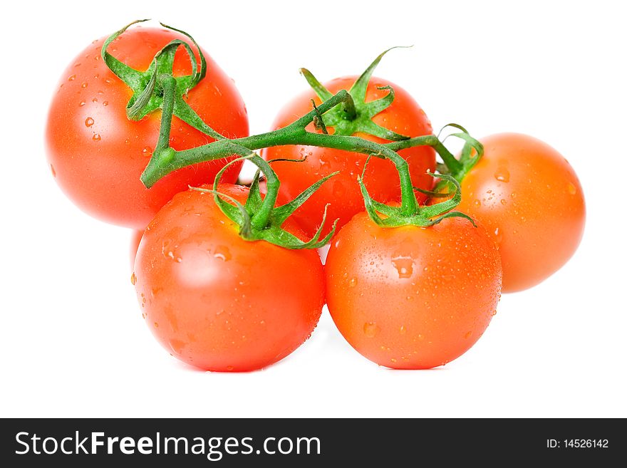 Red tomato vegetable  isolated on white background. Red tomato vegetable  isolated on white background