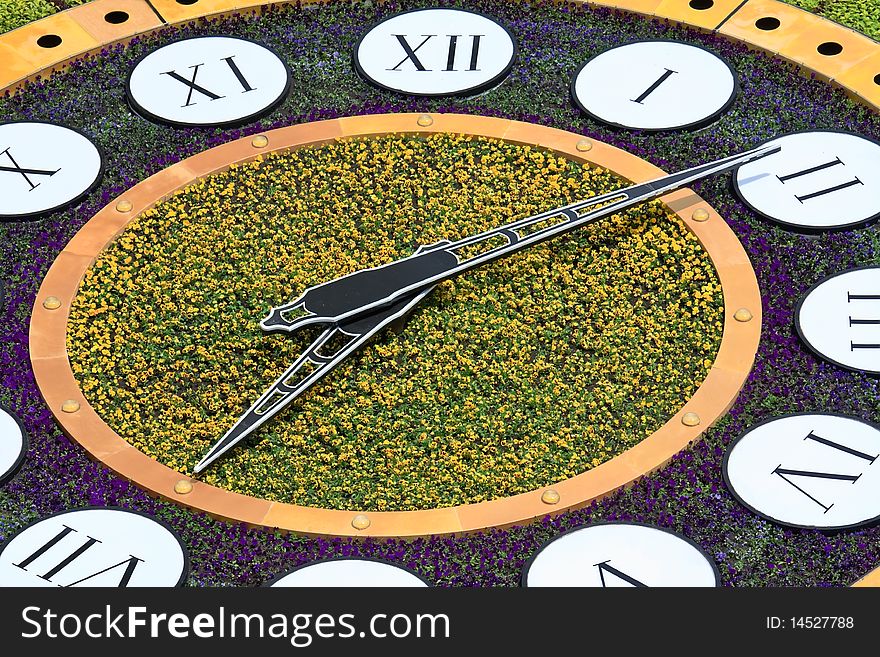 Big clock made of yellow and violet flowers. Big clock made of yellow and violet flowers