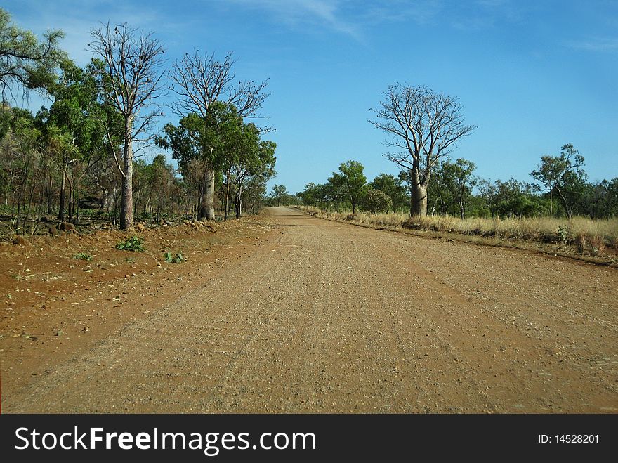 Dirt road lined with Boab trees in outback Australia. Dirt road lined with Boab trees in outback Australia