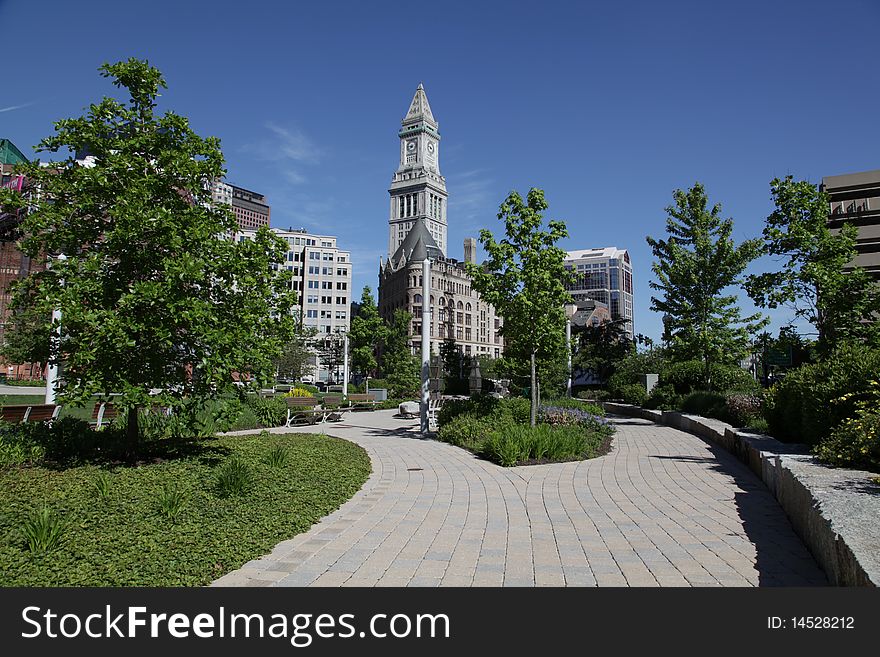 The Boston Skyline from a park