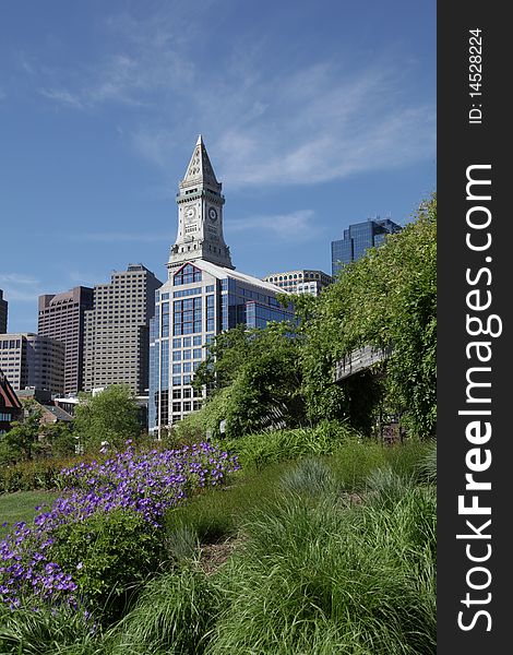 The Boston Skyline from a park