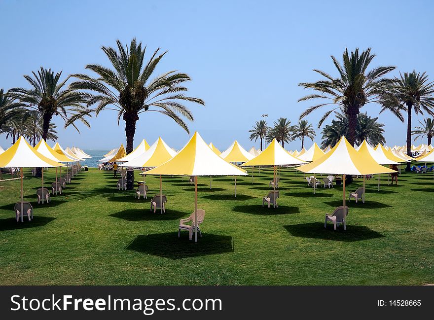 Beach view with colorful sunshade  , palm and green grass