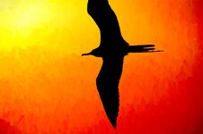 Bird Silhouette Flying Royalty Free Stock Photos Bird Silhouette Flying Royalty Free Stock Photos
