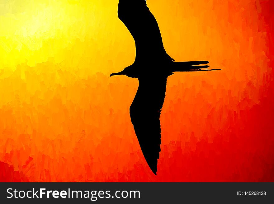 Bird Silhouette Flying