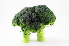Ripe Broccoli On White Background Royalty Free Stock Images Ripe Broccoli On White Background Royalty Free Stock Images