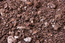Ground Royalty Free Stock Photos Ground Royalty Free Stock Photos