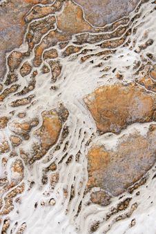 Detail Of Travertine Sediment Royalty Free Stock Images