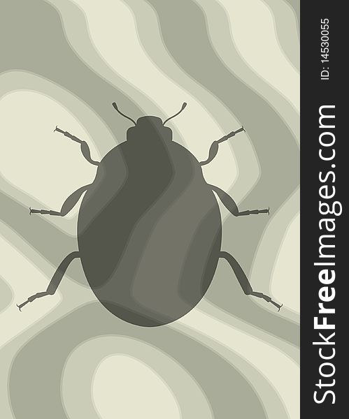 Ladybird shadow silhouette on surface with abstract texture. Vector illustration
