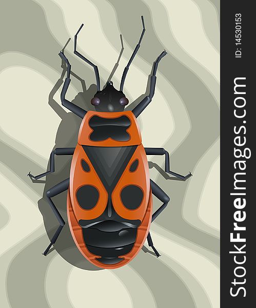 Red soldier bug on surface with abstract texture. Vector illustration