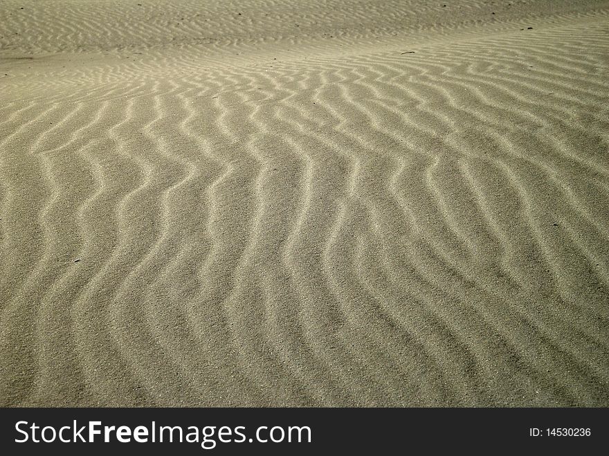 Infrared shot of sand pattersn on Cape Hatteras with a desert feel. Infrared shot of sand pattersn on Cape Hatteras with a desert feel.