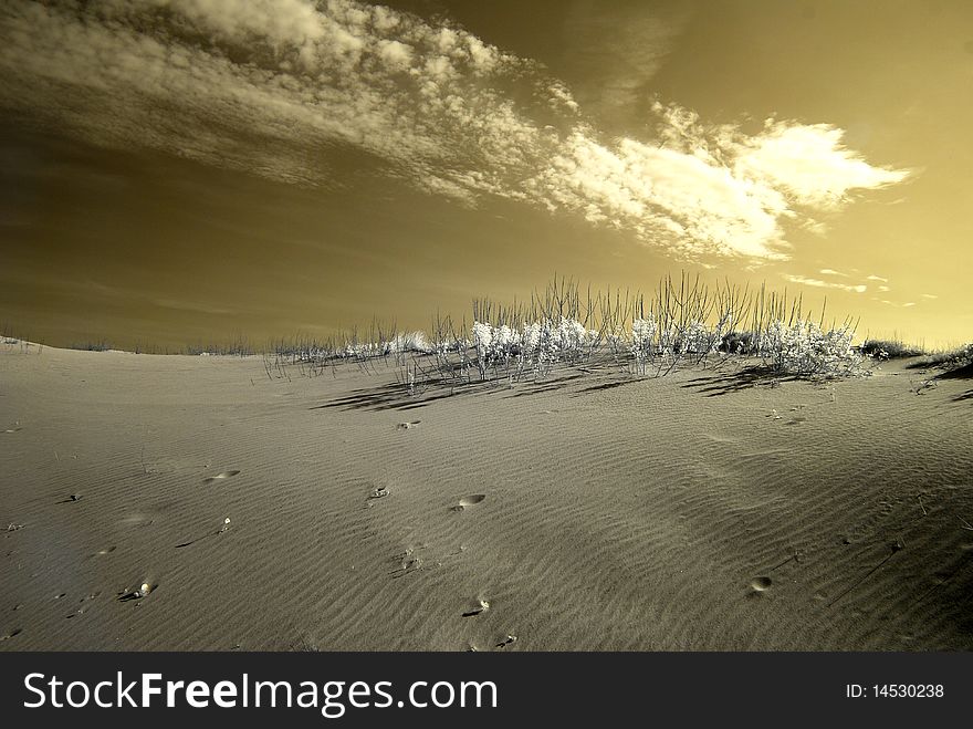 Sun rising behind a dune shot with infrared equipment. Sun rising behind a dune shot with infrared equipment