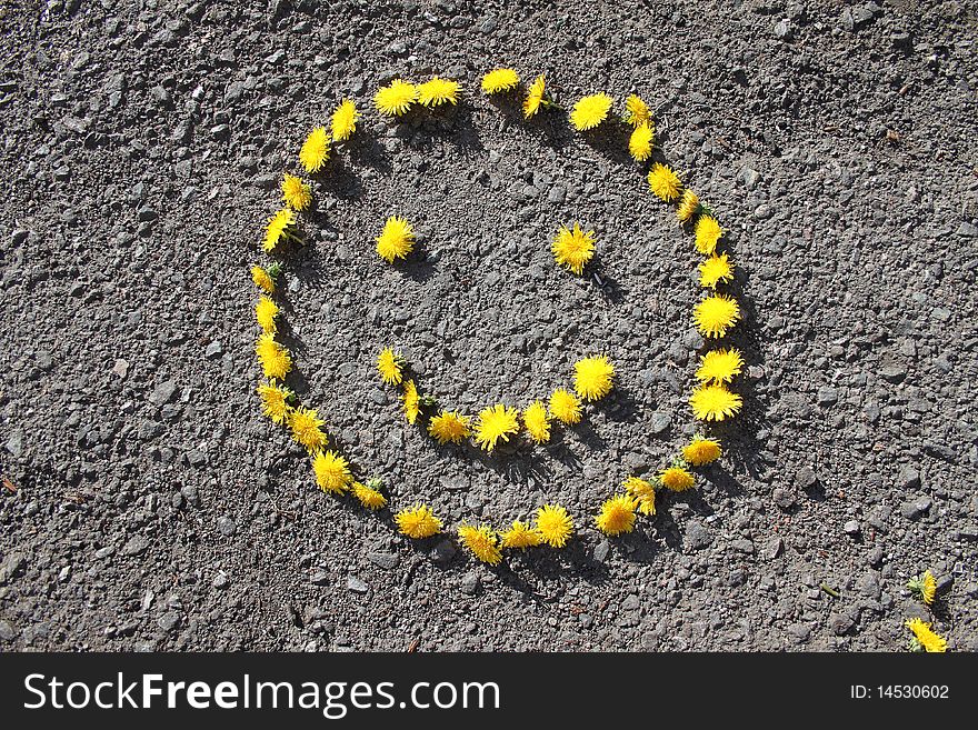 Signs from colours of a dandelion on asphalt. Signs from colours of a dandelion on asphalt