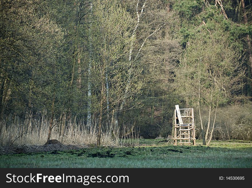 A high seat in a swamp forest in Brandenburg