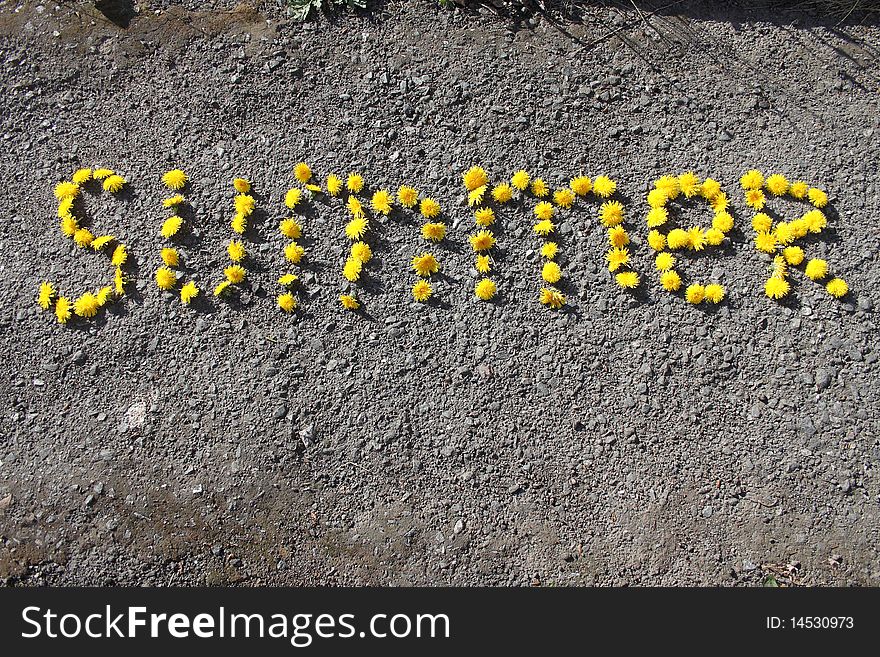 Signs from colours of a dandelion on asphalt. Signs from colours of a dandelion on asphalt