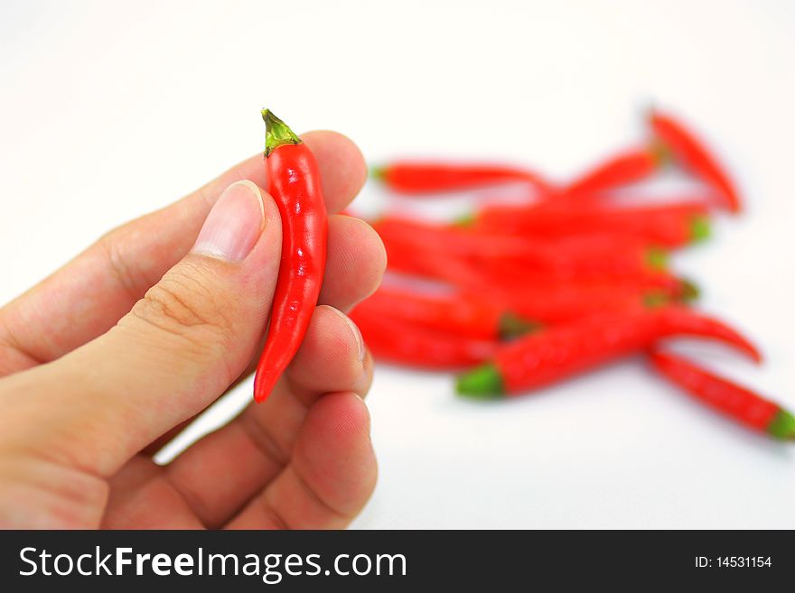 A hand holding red pepper. A hand holding red pepper