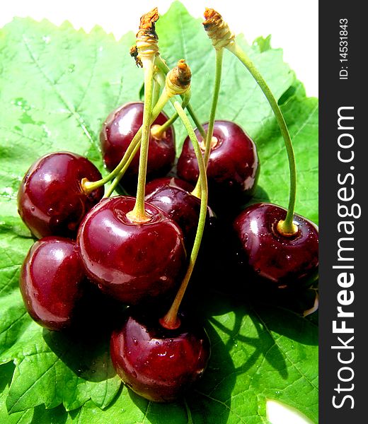 Grapes of fresh red cherries on green leaf. Grapes of fresh red cherries on green leaf