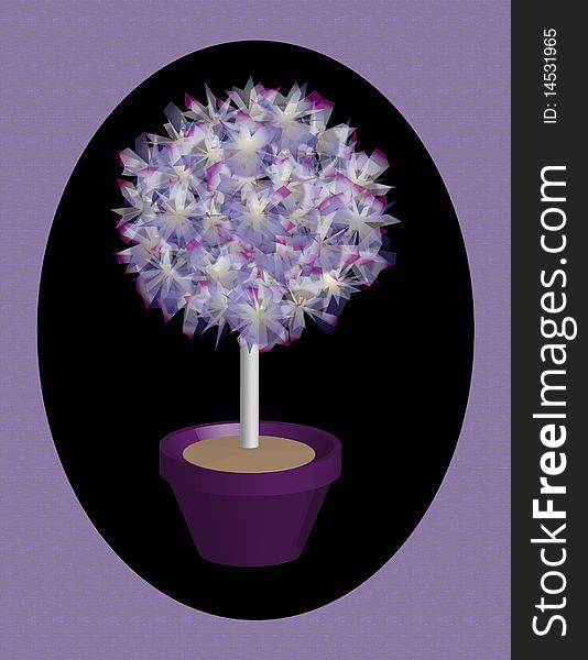 Purple and White Flowered Tree in Pot. Purple and White Flowered Tree in Pot