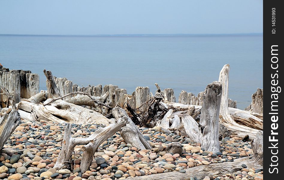 Rocks And Driftwood On Lake Superior,Michigan