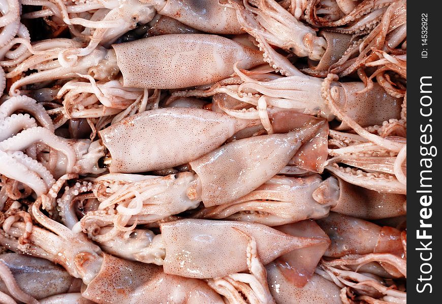 Fresh squids closeup at the local market