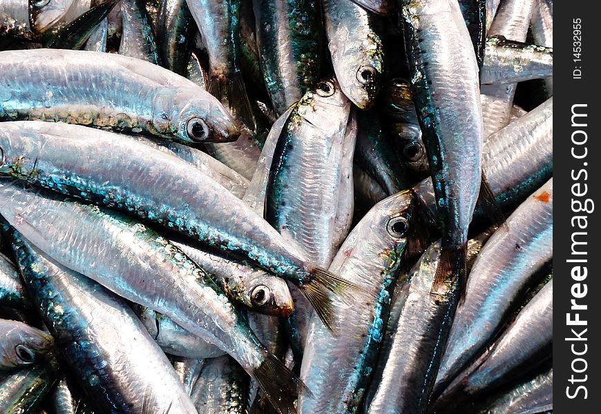 Fresh anchovies closeup background at the local market