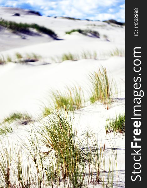 Sandy Dunes Near The Sea