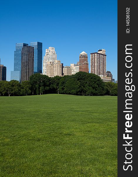 Sheep Meadow, Central Park, New York City