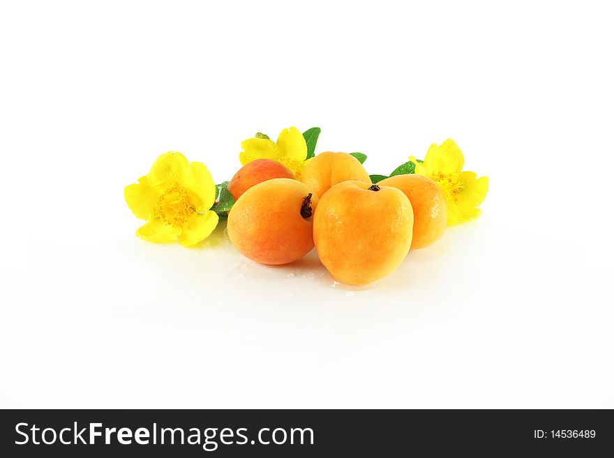 Apricots and yellow flowers on a white background, with drop of water