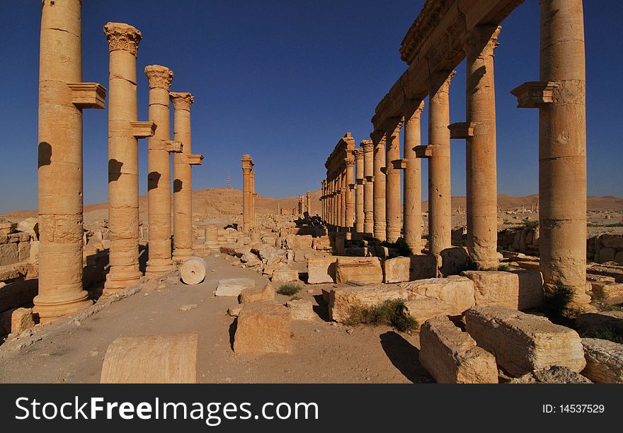 Palmyra  ruins and columns during the day in Syria. Palmyra  ruins and columns during the day in Syria