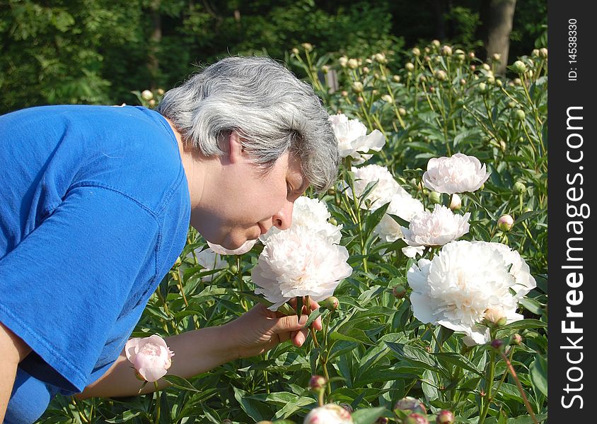Middle aged woman smelling white peony flower. Middle aged woman smelling white peony flower