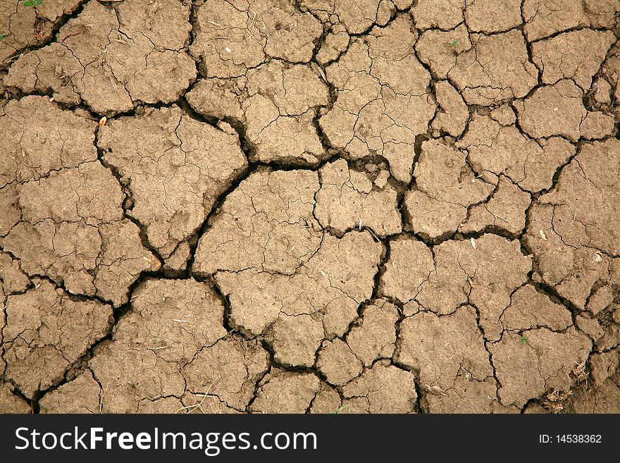 Droughty Soil Close Up