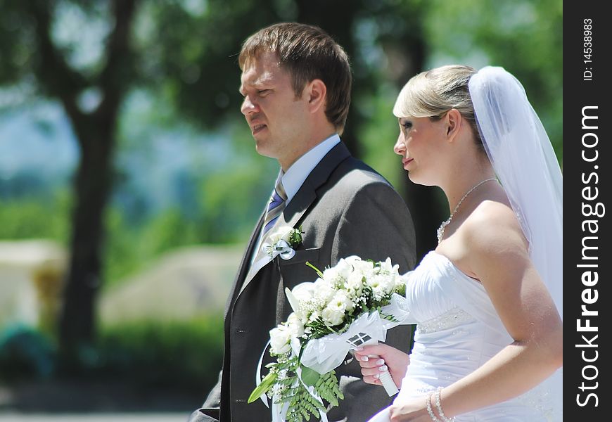 The groom and the bride in park near a tree flirt. The groom and the bride in park near a tree flirt